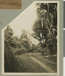 Forest road, Eastern province, Kenya, ca.1924