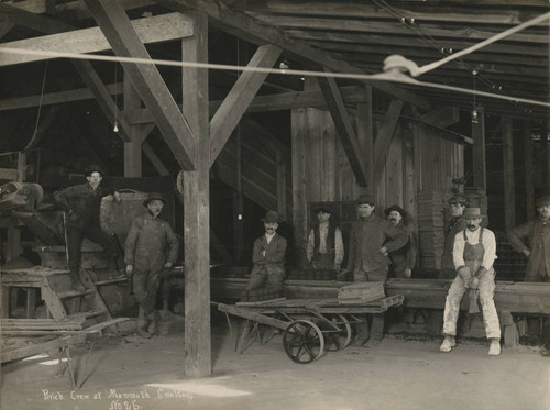 Brick Crew at Mammoth Smelter