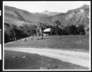 Distant view of an adobe ranch house in Pole Canyon near Fillmore, ca.1900