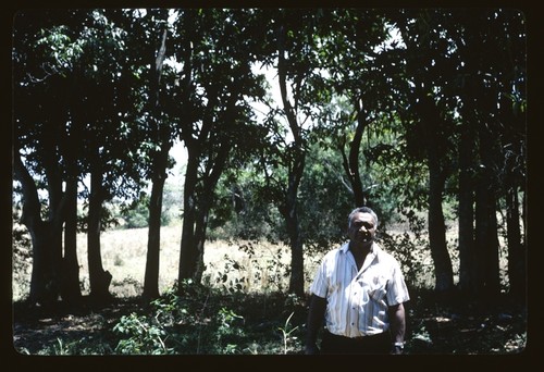 Portrait of a man with forest in the background