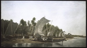 Fishermen returning home to Colombo