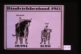 Rindviehbestand (1913). Deutschl. 20,994. Engl. 11,937