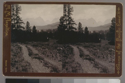 (Redfish Lake Views. On the road to the "Alturus" Lake. First glimpse of the Lakes, Sawtooth Mts, Salmon River Valley, I. T.; on verso.) Place of publication: Baker City. Photographer's series: Gems of the Pacific Coast