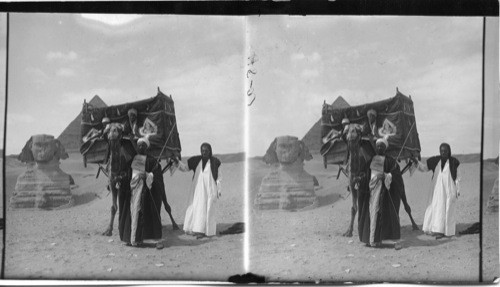 An Arab Conveyance on the Land of the Pharoahs, By the side of the Sphinx. Gizah, Egypt