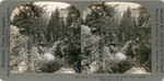 Gorge of the Merced River and Nevada Fall, Yosemite Valley, Cal., U. S. A., 5011