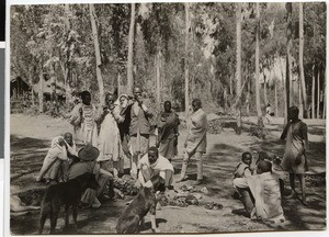 Eating meat at the celebration of teskar, Ethiopia, 1929