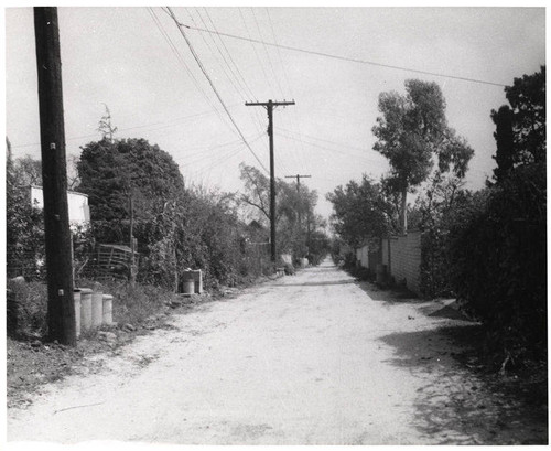 Twenty-first alley south of Alta Avenue in Santa Monica, March 26, 1956