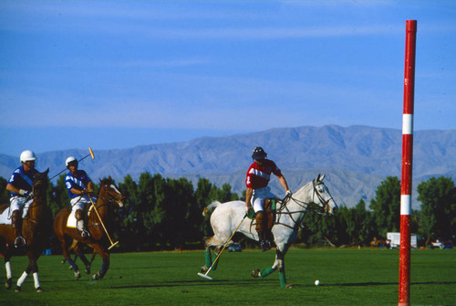 Prince Charles playing polo