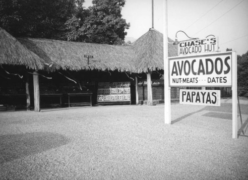 Chase's Avocado Hut in Duarte