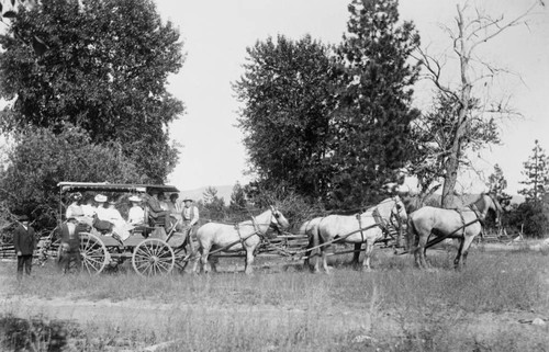 Stagecoach in Siskiyou County