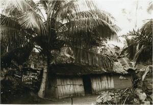 Bamum hut, in Cameroon