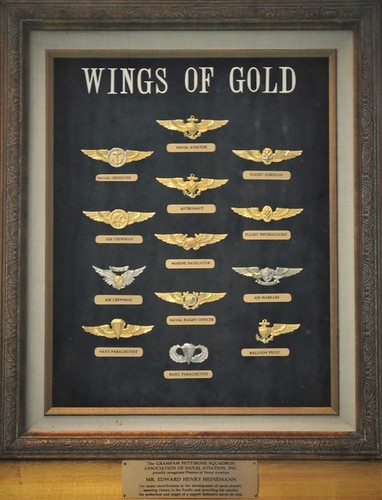 Curatorial image wings of gold u.s. navy