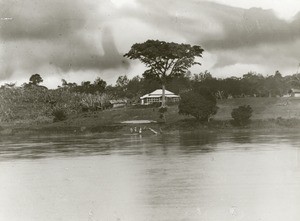 Plantation of the SAIO, in Gabon