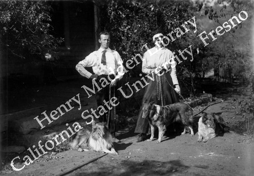 Man and woman with three collies #1