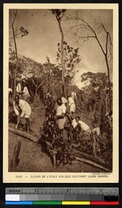 Students preparing to plant yams, Togo, ca. 1920-1940