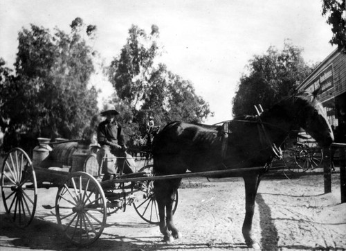 Woman with milk wagon, Lankershim, circa 1910