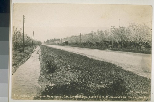 Scene in the Santa Clara valley. The Interurban Electric R.R. bounded by cherry blossoms. No. 213
