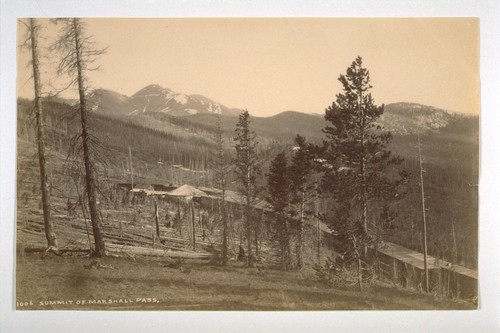 Summit of Marshall Pass [Colorado]. 1006