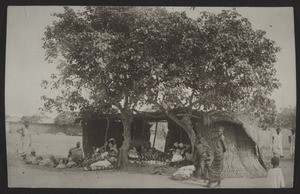 A Hausa hut