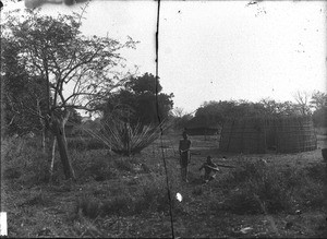 Constructing a hut, Makulane, Mozambique, ca. 1901-1907