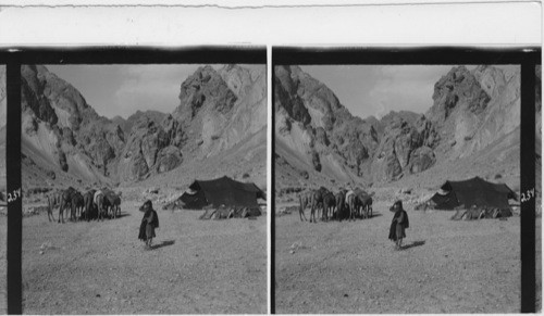 234 See No. 232 and No. 227 Bedouin camp near Shumbol Gorge in the Hindukush mountains, Afghanistan. Bedouin girl