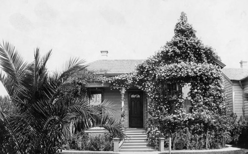 Sarah Barclay's Rose Cottage