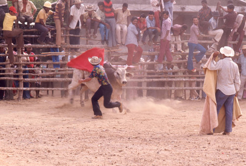 Bullfighter waving a cape in front of bull, San Basilio de Palenque, 1976