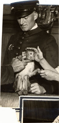 [Officer J. J. McGraw holding a monkey]