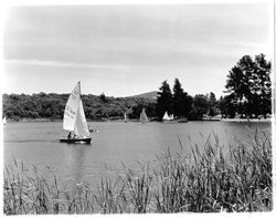 Sailboating on Lake Ralphine, Santa Rosa, California, 1964