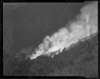 Close-up view of a wildfire on a slope of Eaton Canyon below Mount Wilson, 1935