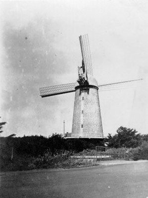 [Windmill in Golden Gate Park]