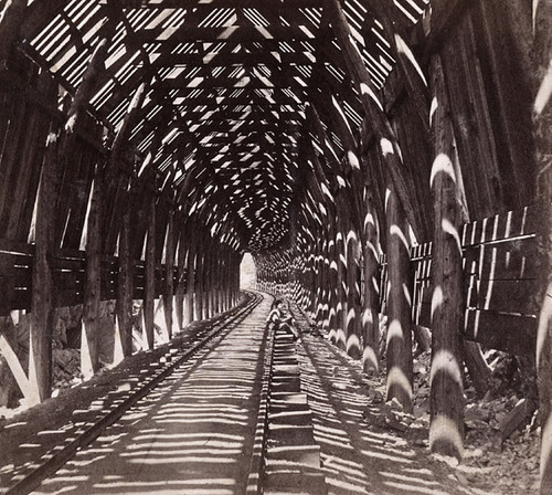 1300. Interior View of Snow Shed--C. P. R. R