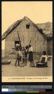 Crushing and winnowing of rice, Madagascar, ca.1900-1930