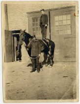 Two policemen with horse