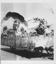 Sonoma float pulled by a team of horses in a Butter and Eggs Day Parade, Petaluma, California, about 1925