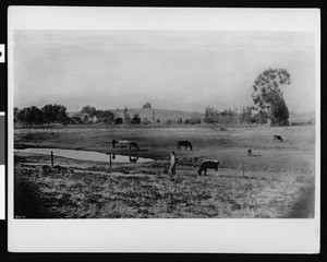 Ireby Barrow Ranch looking north, Los Angeles, ca.1894