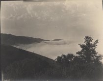 "Fog in Pescadero Canyon"