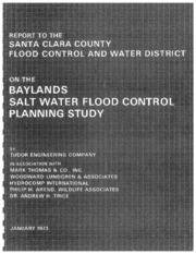 Report To The Santa Clara County Flood Control and Water District On The Baylands Salt Water Flood Control Planning Study