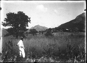 Shilouvane and the Mamotsuiri, South Africa, ca. 1901-1907