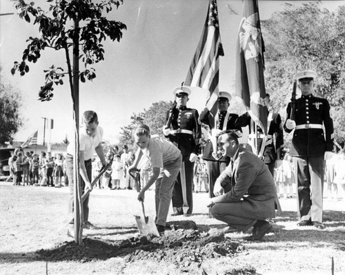 Students plant trees--honor JFK, Hoover