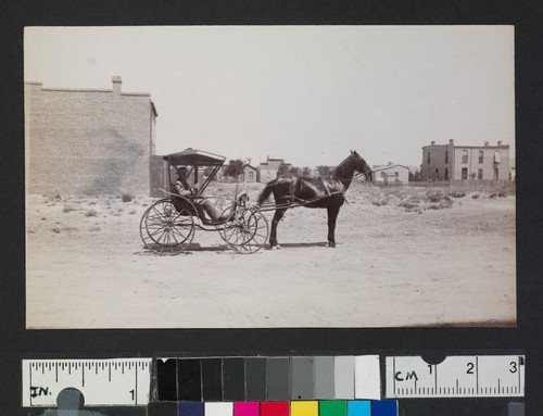 Horse and buggy in unidentified town with two-story buildings
