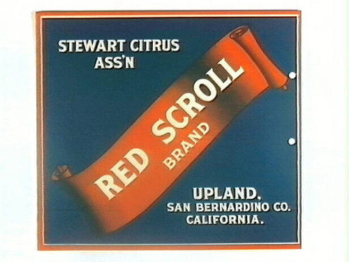 Red Scroll Brand