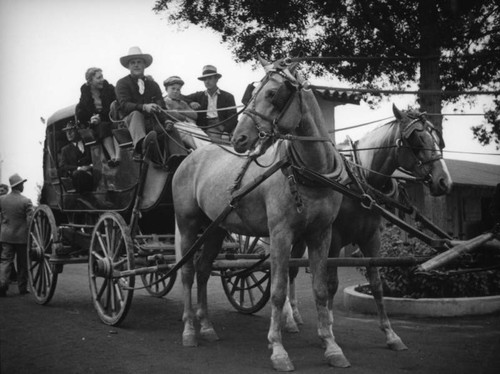 Horse drawn carriage at the Los Angeles County Fair