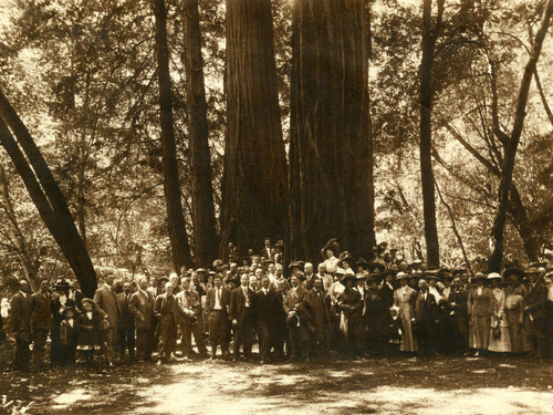 Group gathered in Muir Woods for the dedication of the Pinchot tree, 1910 [photograph]