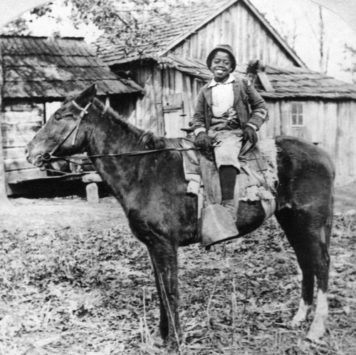 Young boy on a horse