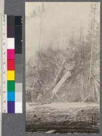 Hammond Lumber Company cuttings, redwood, near Camp 23, Little River, Humboldt County, California, before logs were removed and after accidental fire started in slash. May 31, 1920. E.F