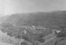 View of Lovell Avenue and Throckmorton Avenue, circa 1903