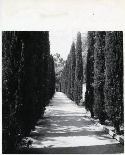 Path to Margaret Fowler Garden