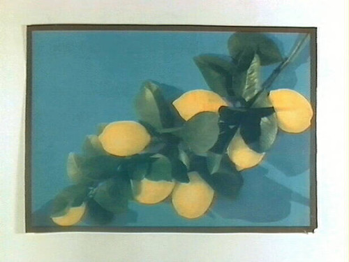 Stock label: lemons on branch with blue background