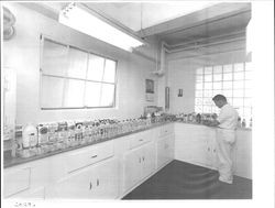 Testing laboratory at Petaluma Cooperative Creamery, Petaluma, California, 1963